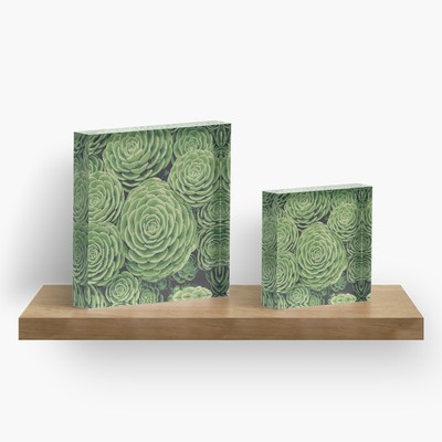 Succulents acrylic art blocks by Eclectic at HeART