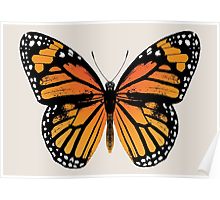 Monarch Butterfly poster by Eclectic at HeART